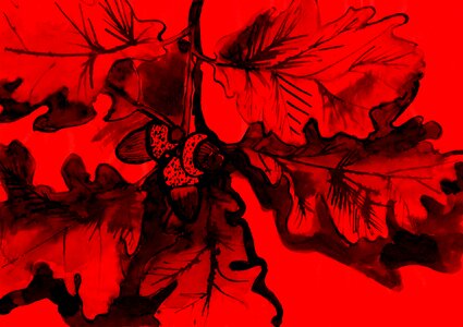 Illustration drawing ink