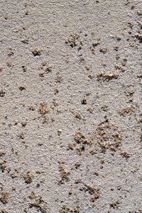 texture of cement