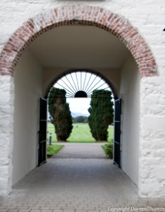 IMG 0743