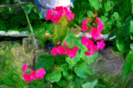 DSC 0015impasto-abstract