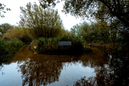 Leighton Flooded - (5 of 7) photo
