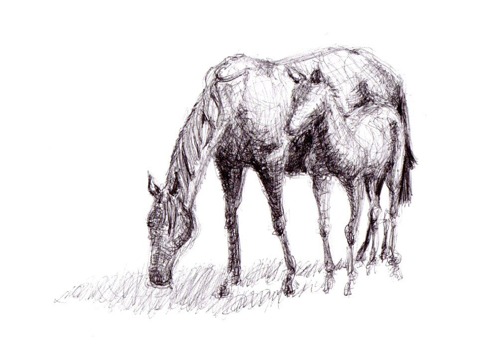 Pen art artwork