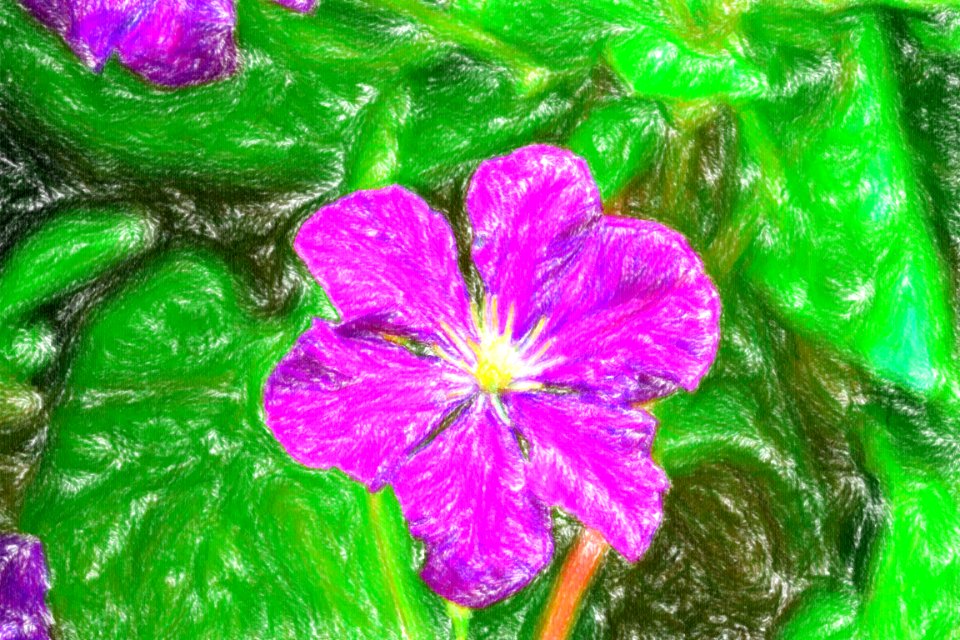 DSC 0067 wax crayon