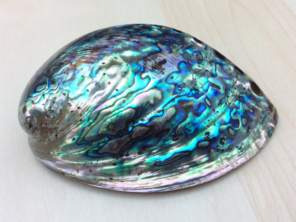 Blue pearl colorful