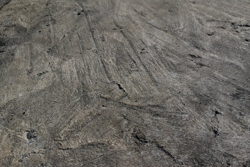 DSC 0121