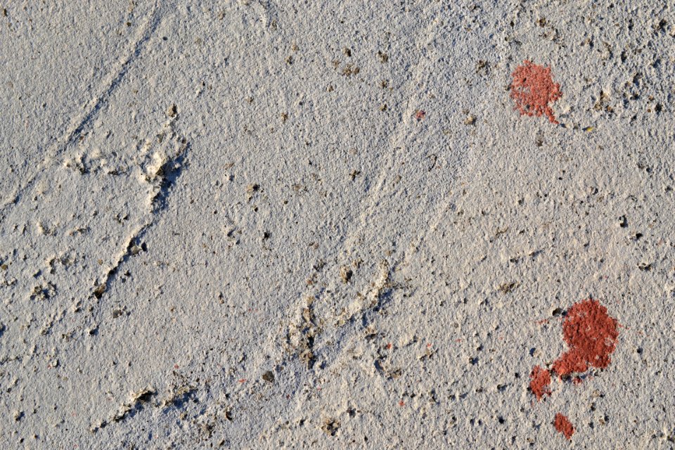 texture of cement