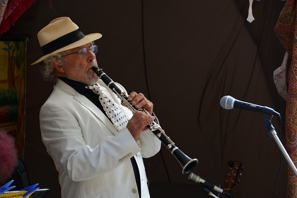 Concert musician music