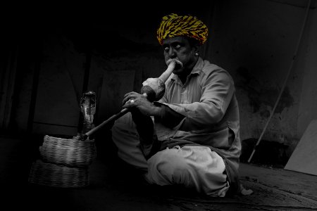 the snake man! Jaipur, Rajasthan