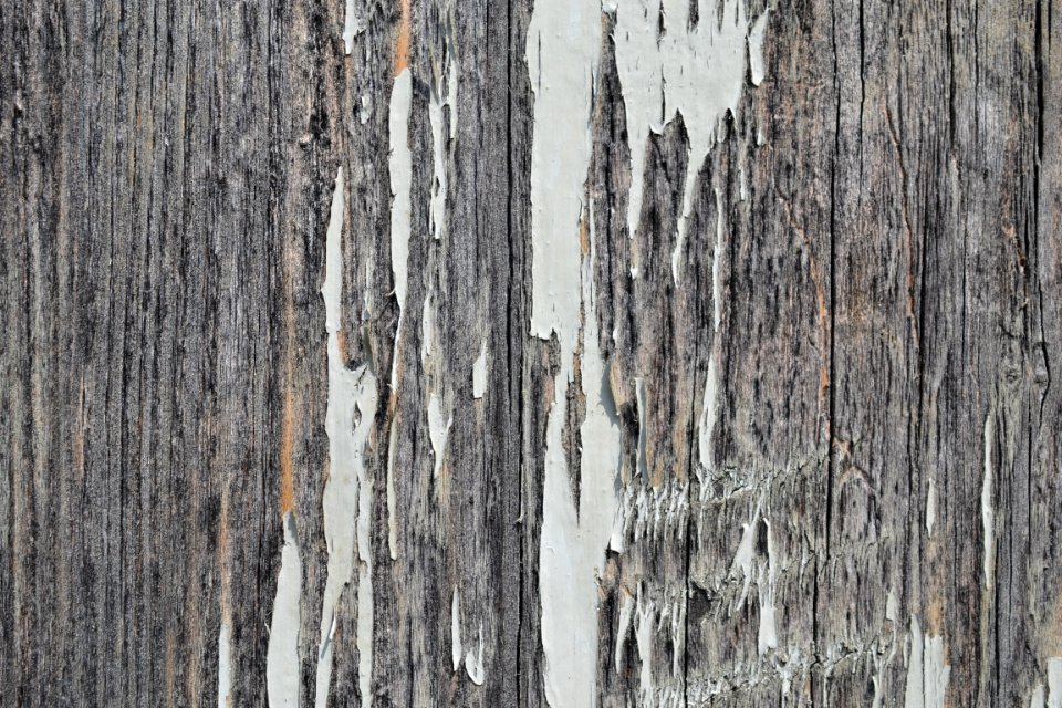 wood