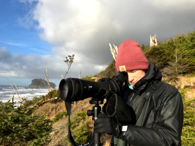 OCNMS graduate student looks for otters photo