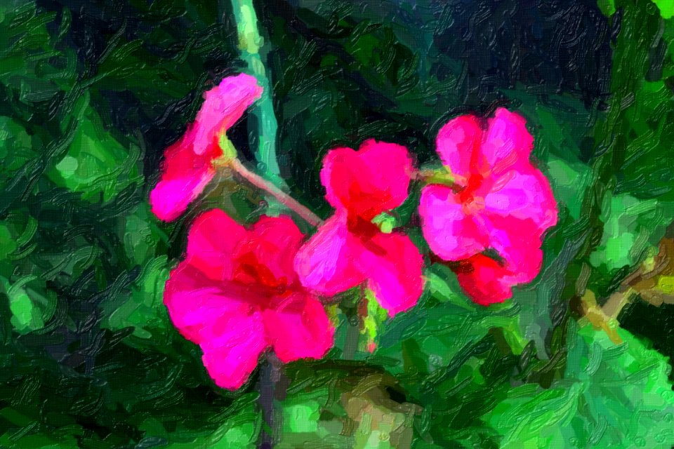 DSC 0007impasto-abstract