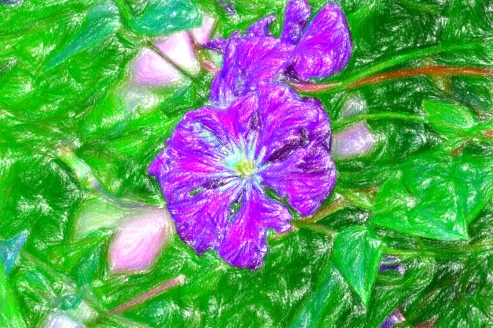 DSC 0099 wax crayon