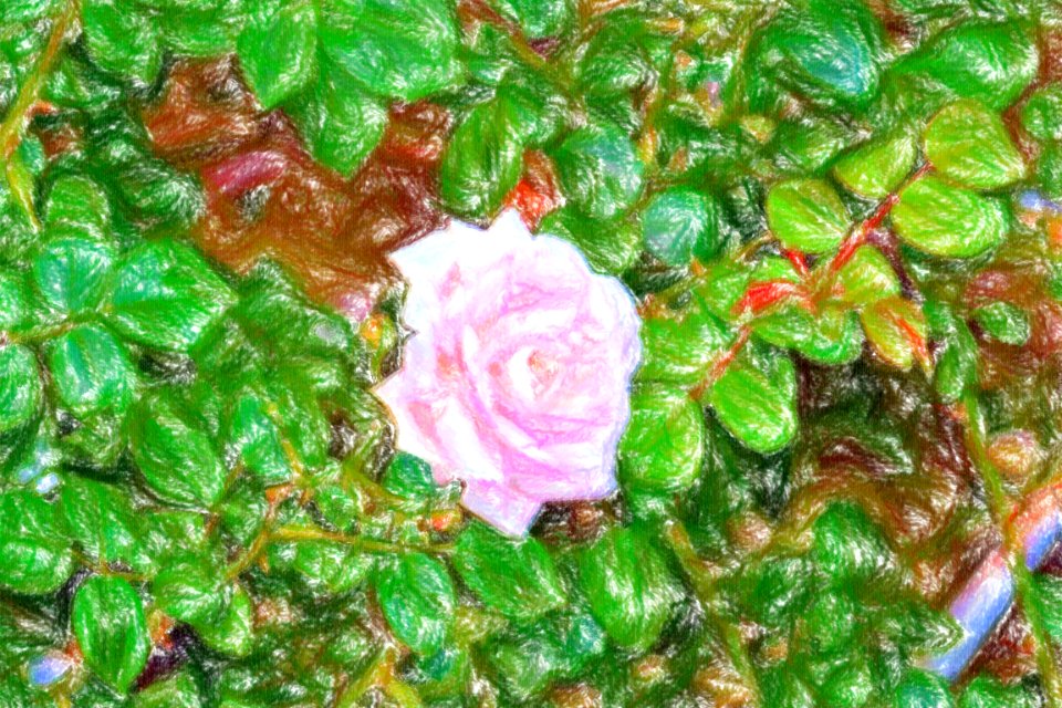 DSC 0051 wax crayon
