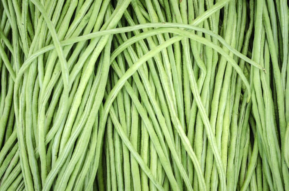 Healthy green vegetarian