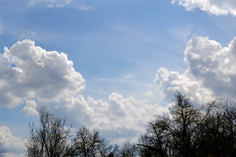 Clouds