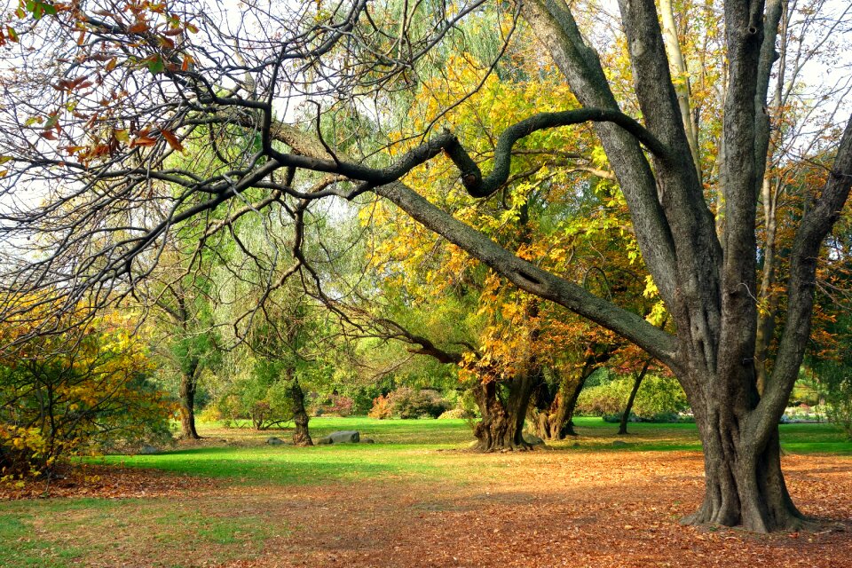 View tree nature