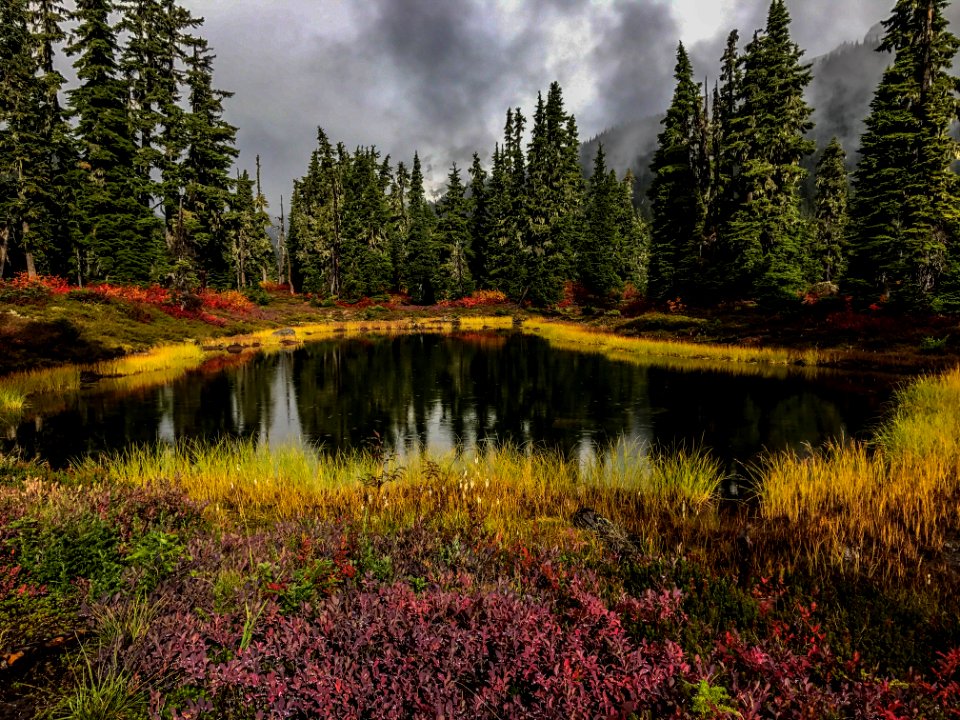 Callaghan Valley
