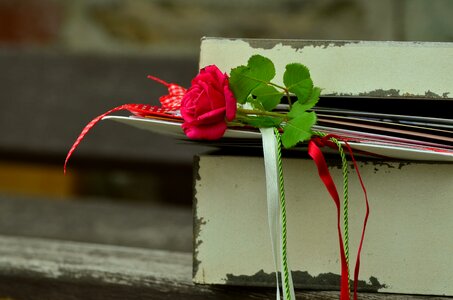 Friendship bands rose bloom