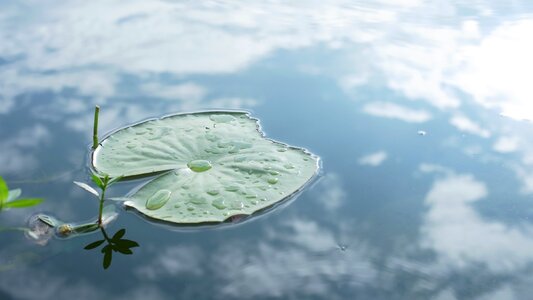 Inverted image yunnan travel