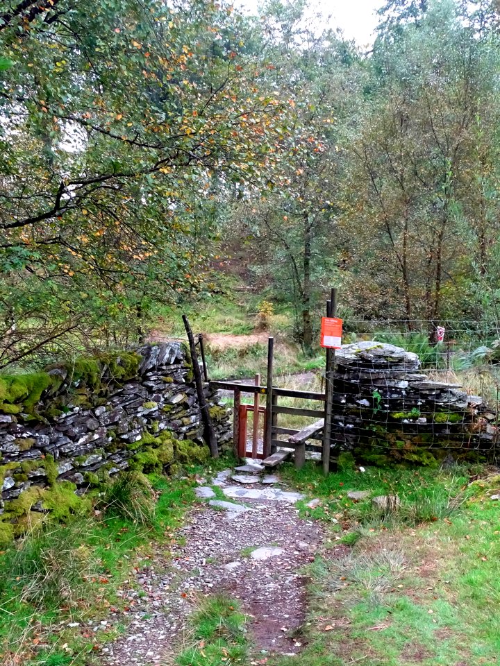 Dog Friendly Stile.