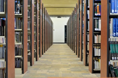 Steacie Library photo