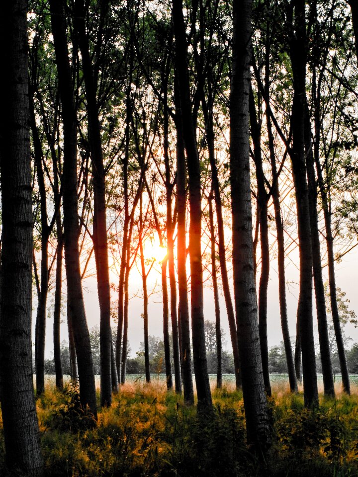 Landscape sun light