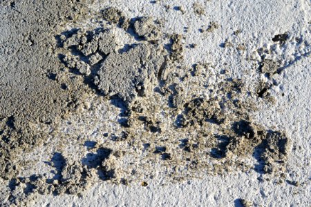texture of cement