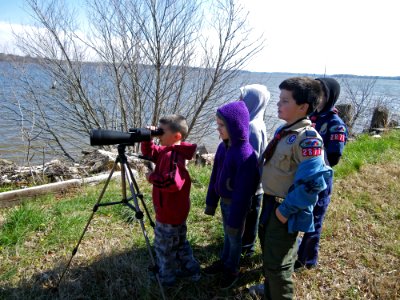 Environmental education