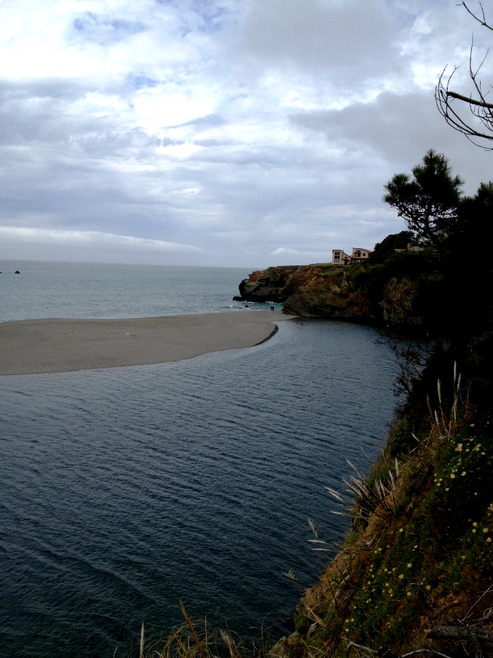 GFNMS - Gualala River Mouth