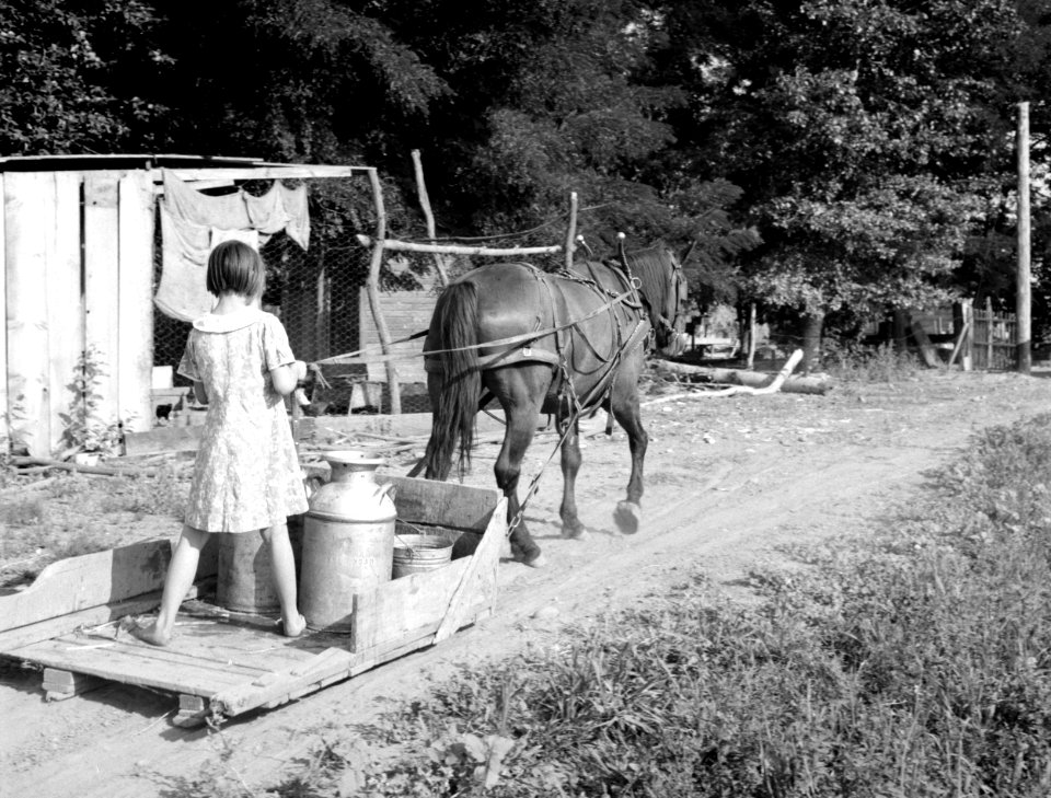 Lois Adolf and horse sledge
