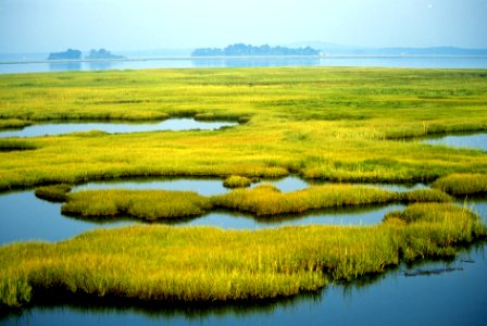 Photo of the Week - Coastal Wetlands (MA)