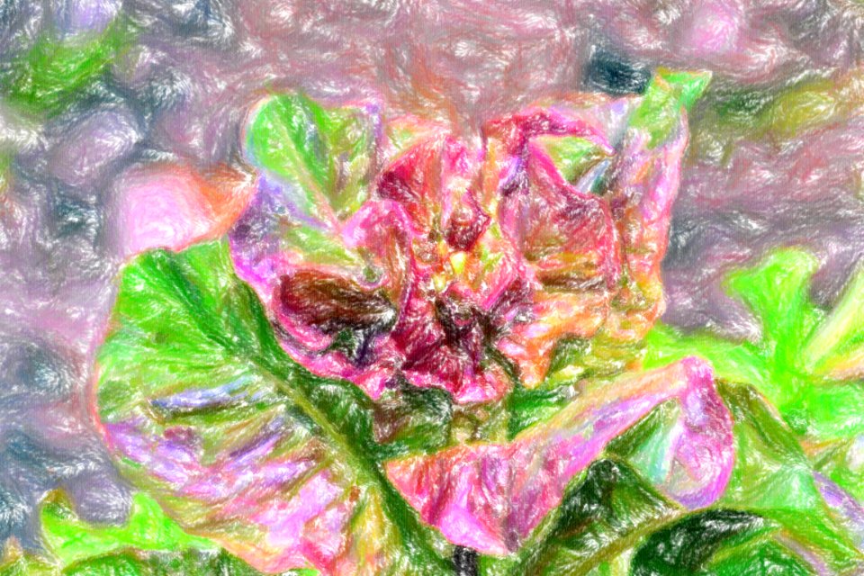 DSC 0120 wax crayon