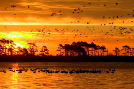 Photo of the Week - Sunrise at Chincoteague National Wildlife Refuge (VA)