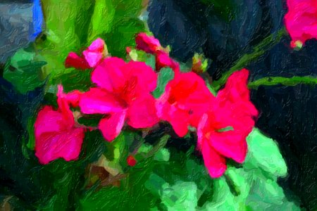 DSC 0004impasto-abstract