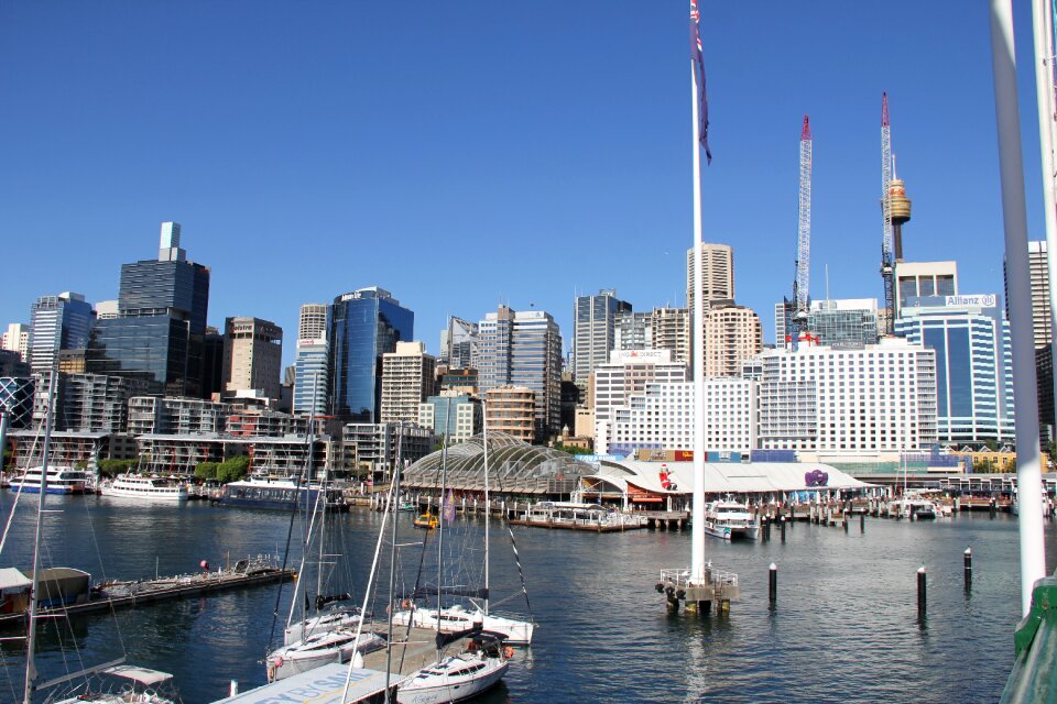 Sydney harbor darling