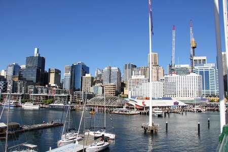 Sydney harbor darling