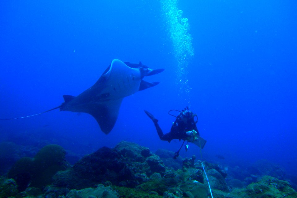 Michelle Johnston And Manta