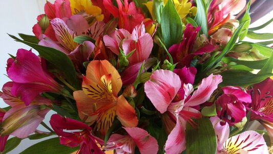 Bouquet colorful gift