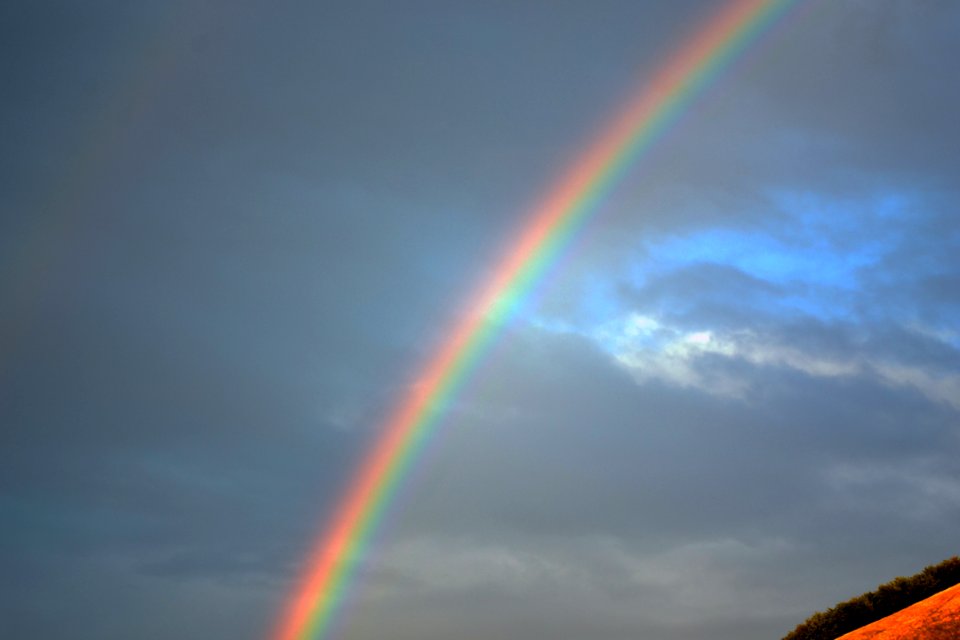 Rainbow