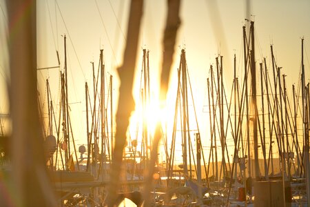 Marina harbor sunset