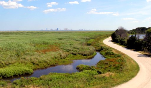 Photo of the Week - Wildlife Drive reopened at Edwin B. Forsythe National Wildlife Drive