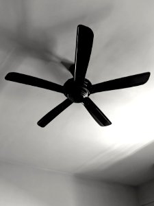 This Ceiling Fan is One Speed photo