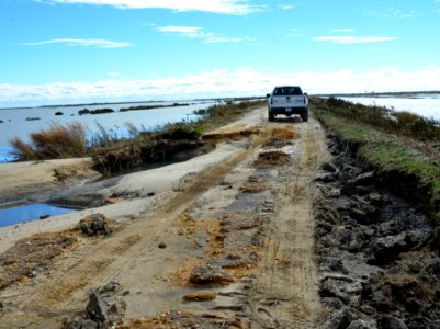 Effects of Hurricane Sandy at Edwin B. Forsythe National Wildlife Refuge. (NJ)