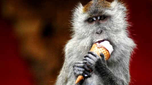 Stolen Ice Cream Cone