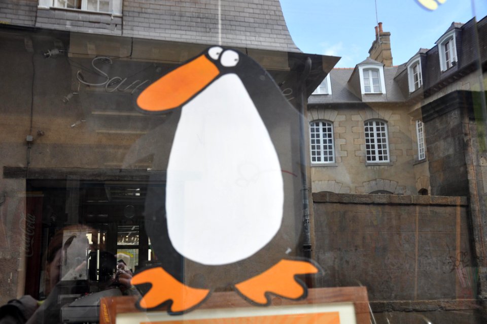 Penguin and reflection - Rennes