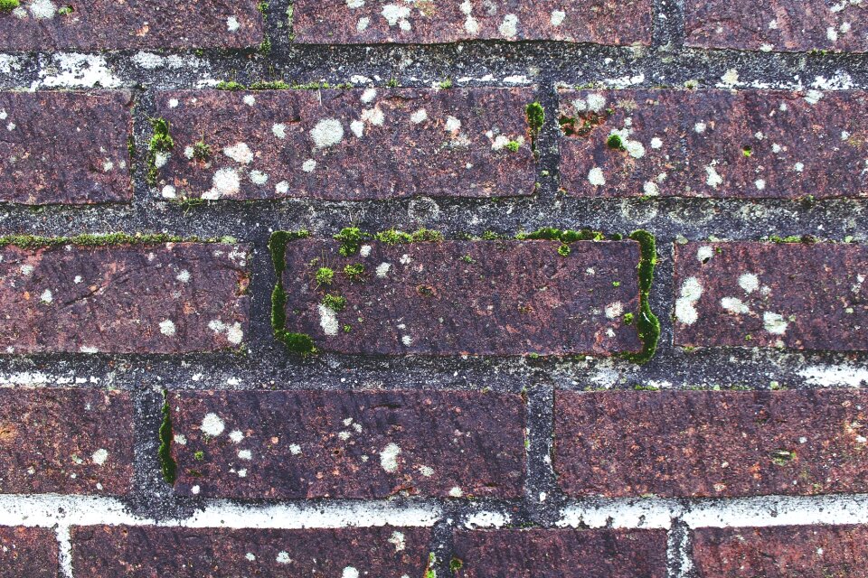 Background bricks reddish