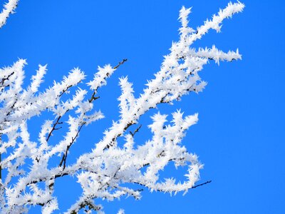 Sky blue frozen photo