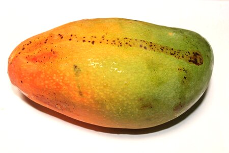Mango fruit food