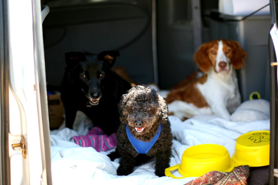 going on a trip!