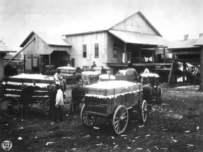 CDHistorical1-973